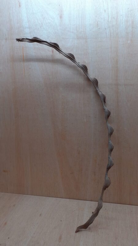 Monkey Ladder Liana - Long - 2