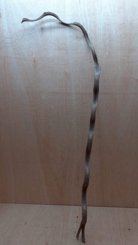 Monkey Ladder Liana - Long - 5