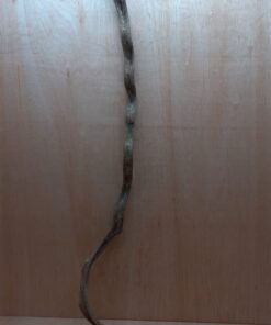 Monkey Ladder Liana - Long - 8