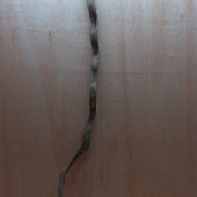 Monkey Ladder Liana - Long - 8