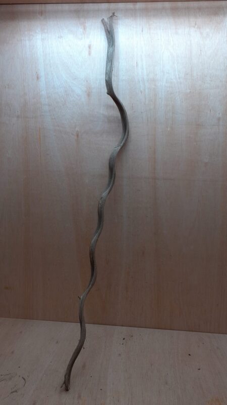 Monkey Ladder Liana - Long - 9