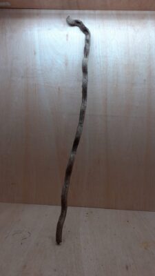 Curved Liana - Long - 6