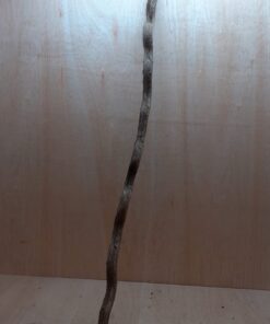 Curved Liana - Long - 6
