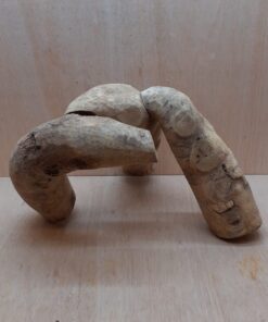 Bamboo Root - Medium - 1