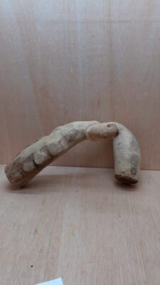 Bamboo Root - Medium - 8