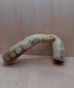 Bamboo Root - Medium - 8