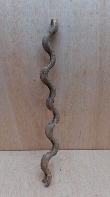 Monkey Ladder Liana - Short - 9