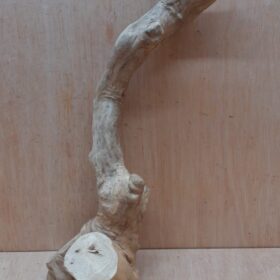 Java Wood - Single Stem - Medium 2