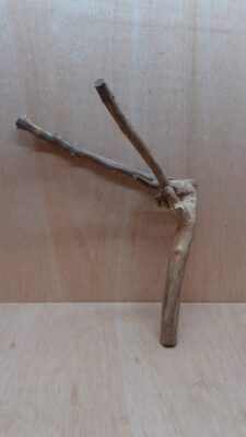 Java Wood - Double Stem - Large 2