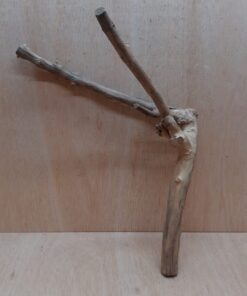 Java Wood - Double Stem - Large 2