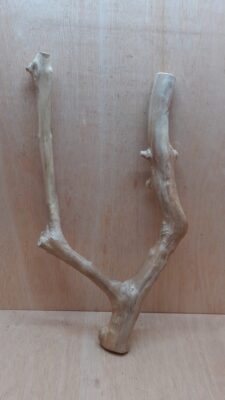 Java Wood - Double Stem - Large 6