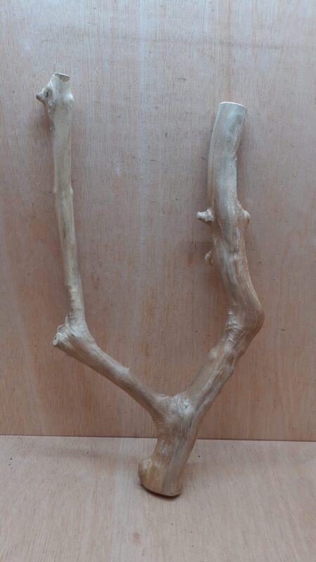 Java Wood - Double Stem - Large 6