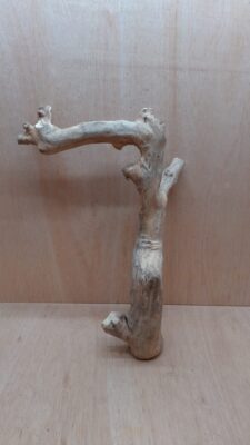 Java Wood - Single Stem - XL 6