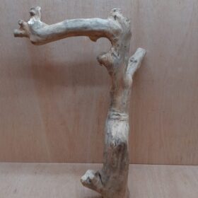 Java Wood - Single Stem - XL 6