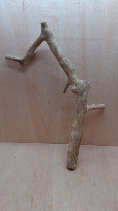 Java Wood - Single Stem - XL 9