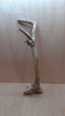 Java Wood - Single Stem - XL 10