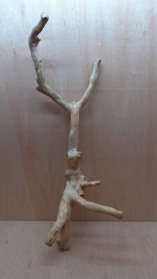 Java Wood - Double Stem - XL 2