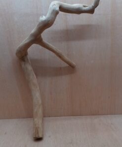 Java Wood - Double Stem - XL 9