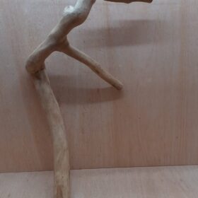 Java Wood - Double Stem - XL 9