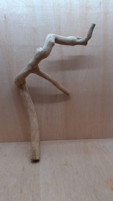 Java Wood - Double Stem - XL 9