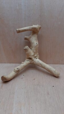 Java Wood - Double Stem - Medium 2
