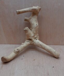 Java Wood - Double Stem - Medium 2