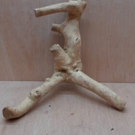 Java Wood - Double Stem - Medium 2