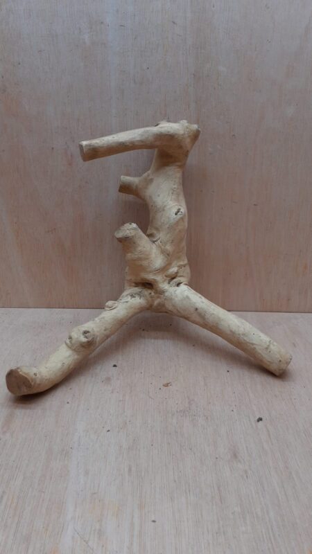 Java Wood - Double Stem - Medium 2