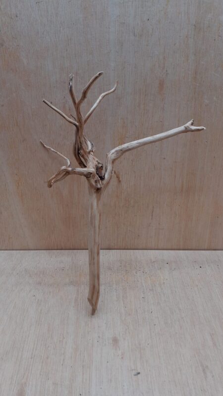 Spiderwood Medium 9