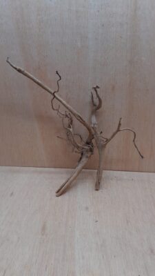 Spiderwood Large 3