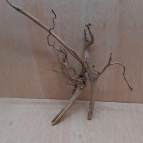 Spiderwood Large 3