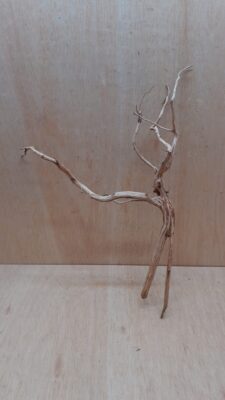 Spiderwood Large 5
