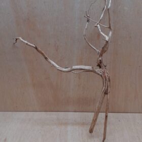 Spiderwood Large 5
