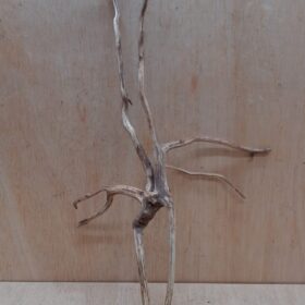 Spiderwood Large 6