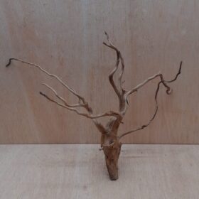 Spiderwood Large 7
