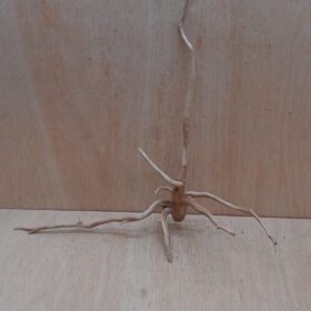Spiderwood Large 8
