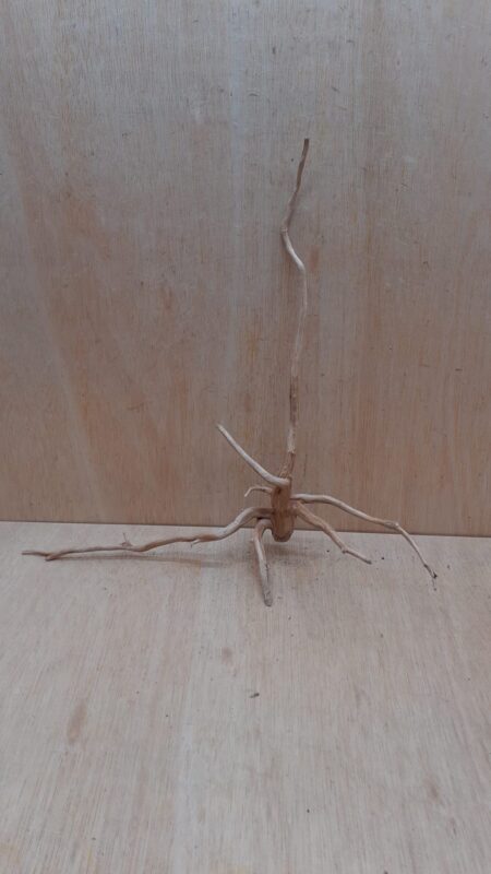 Spiderwood Large 8