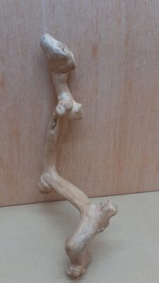 Java Wood - Single Stem - Small 2