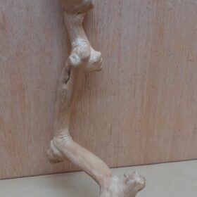 Java Wood - Single Stem - Small 2