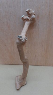 Java Wood - Single Stem - Small 3