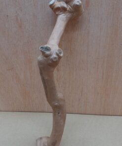 Java Wood - Single Stem - Small 3