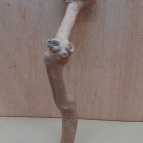 Java Wood - Single Stem - Small 3