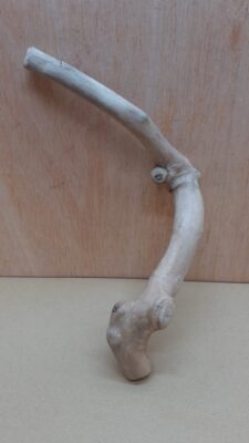 Java Wood - Single Stem - Small 4