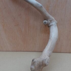 Java Wood - Single Stem - Small 4