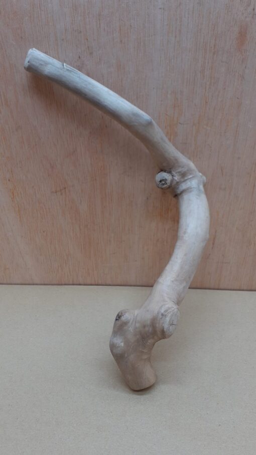Java Wood - Single Stem - Small 4 - Buzzard Reptile & Aquatics