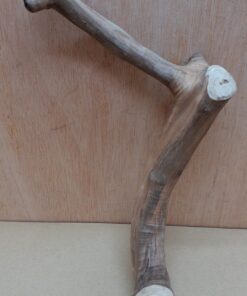 Java Wood - Single Stem - Small 5