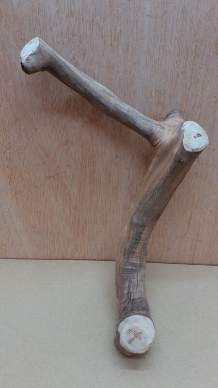 Java Wood - Single Stem - Small 5