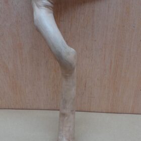 Java Wood - Single Stem - Small 6