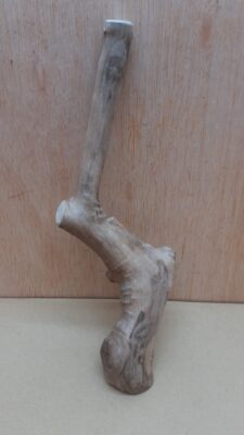 Java Wood - Single Stem - Small 9