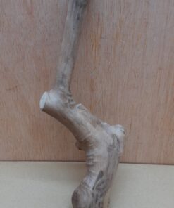 Java Wood - Single Stem - Small 9